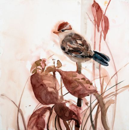 Holly Wach "Songbirds & Friends" songbird watercolor prints