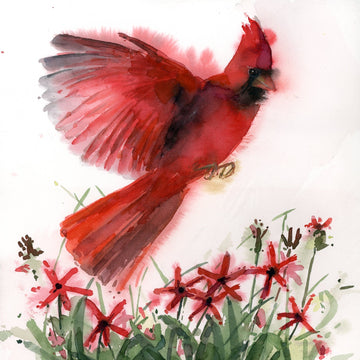 Holly Wach "Songbirds & Friends" songbird watercolor prints