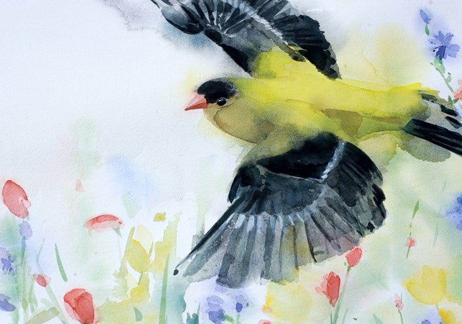 Holly Wach's original songbird watercolor painting