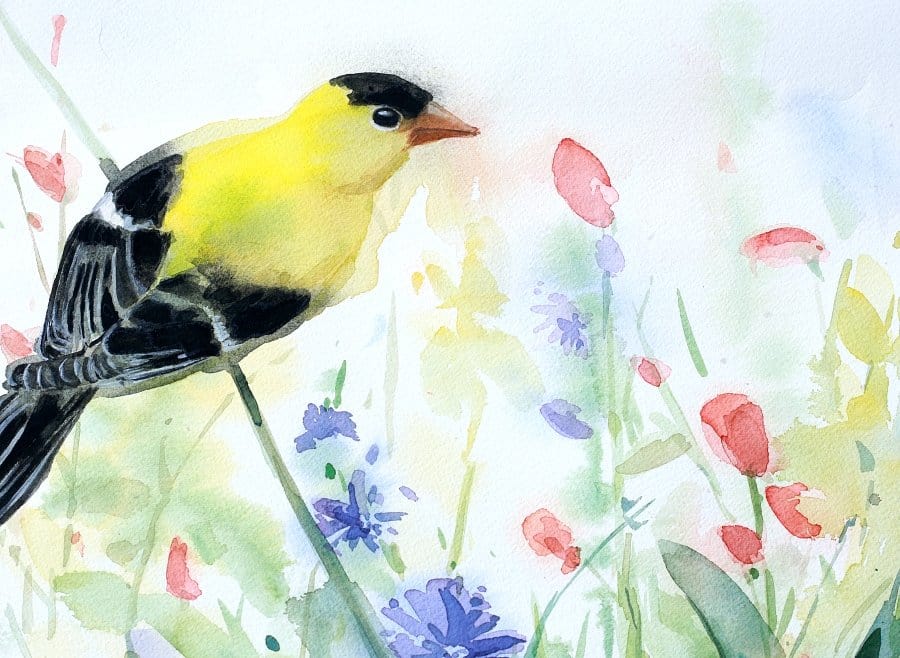 Holly Wach's original songbird watercolor painting