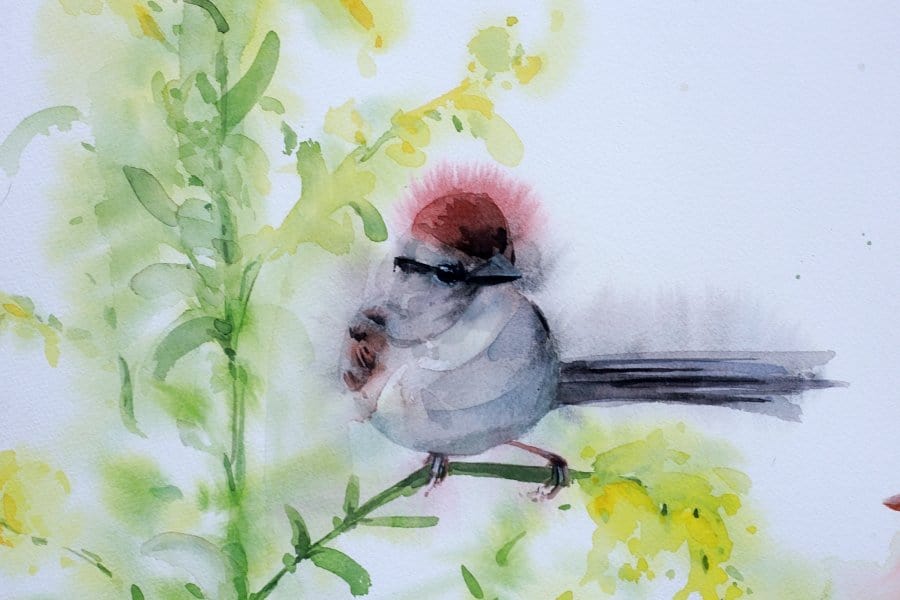 Holly Wach's original songbird watercolor painting