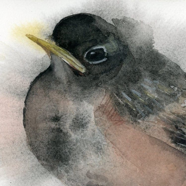 Holly Wach's original songbird watercolor painting