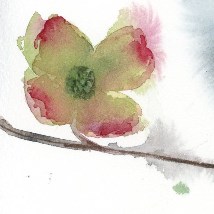 Holly Wach's original songbird watercolor painting