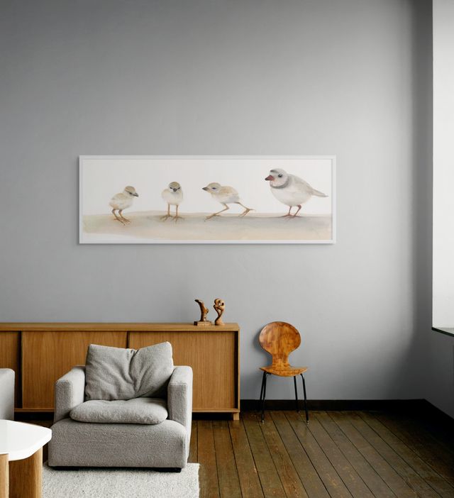 Holly Wach "Oh, to Fly!" shorebird watercolor prints