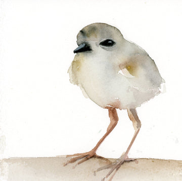 Holly Wach "Little Wonders" baby bird watercolor prints
