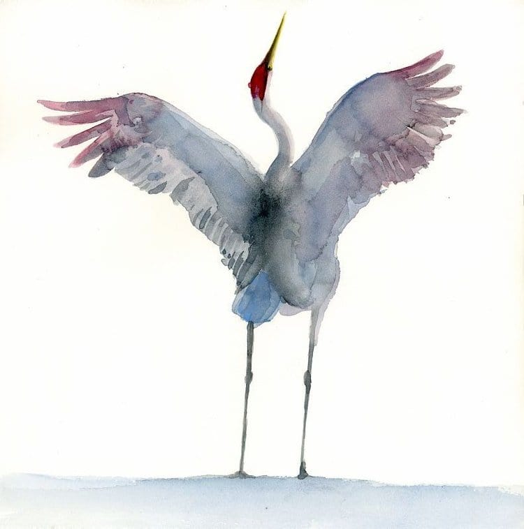 Sandhill Crane III Watercolor Painting | Holly Wach – Holly Wach Art