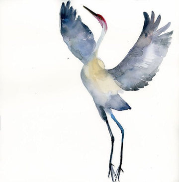 Holly Wach's bird watercolor art painting of a Sandhill Crane