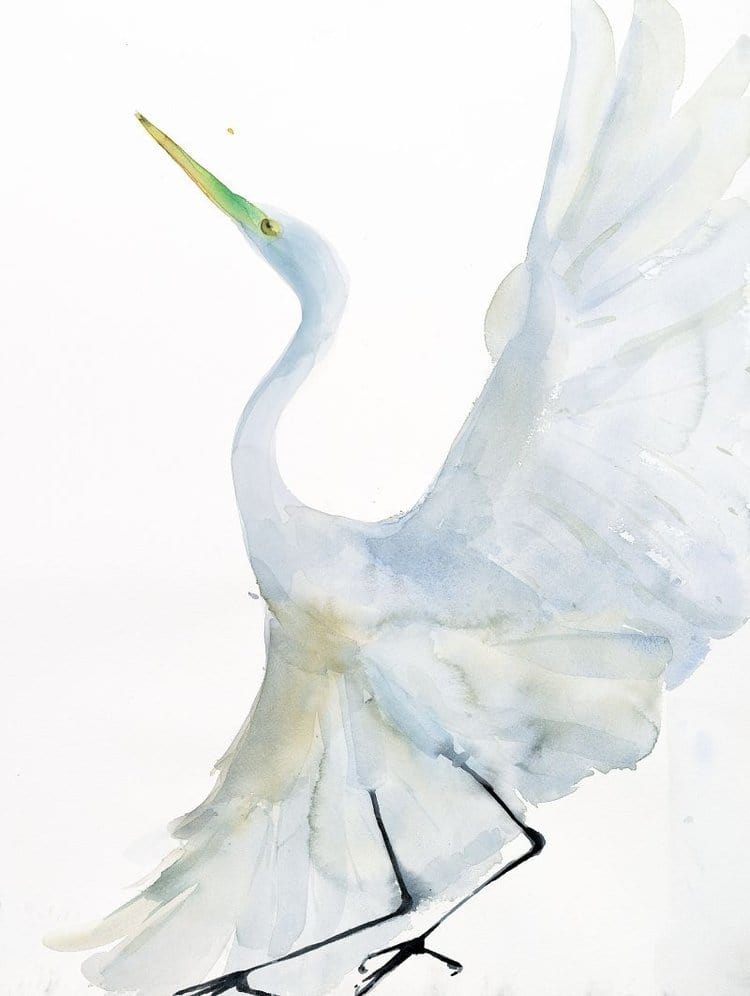 bird watercolor art painting of an egret flying