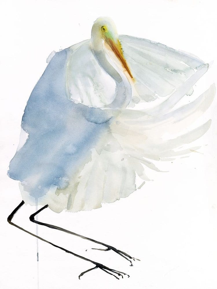 bird watercolor art painting of a snowy egret